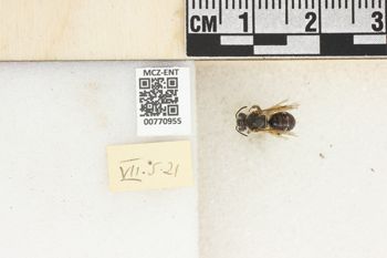 Media type: image;   Entomology 770955 Aspect: Labels